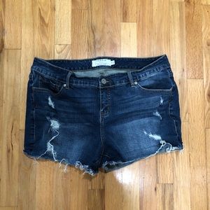 Torrid Denin Shorts